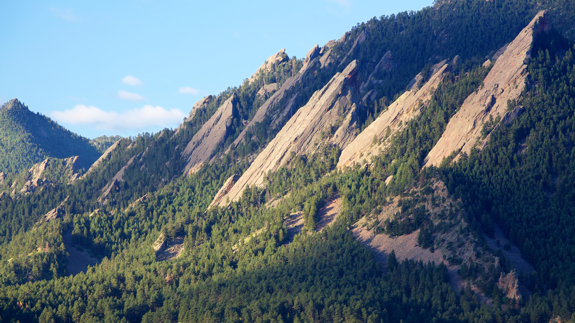 The Marshall Fire Can’t Stop the Power of Community.