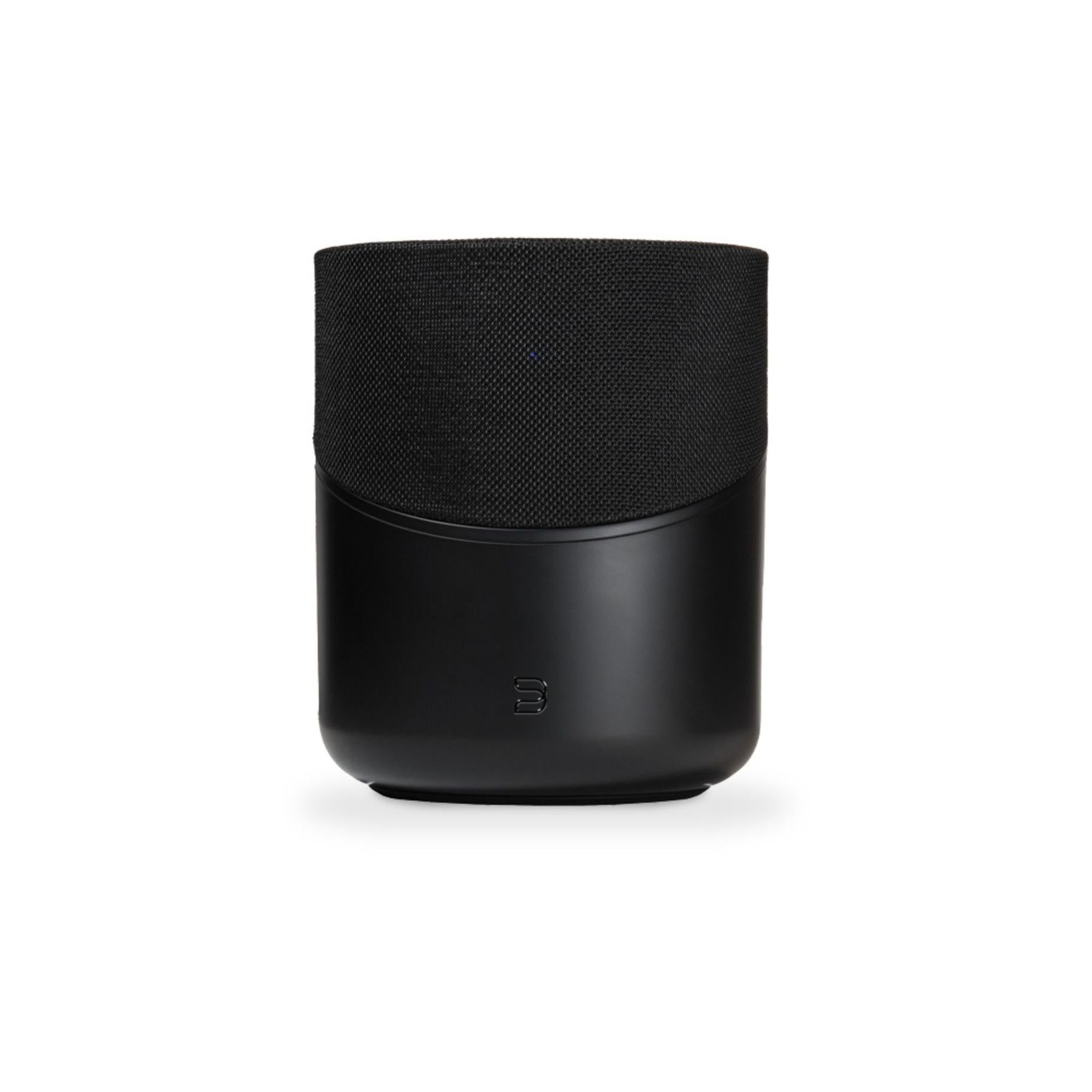 Bluesound Omni-Hybrid Speaker - Thumbnail 4