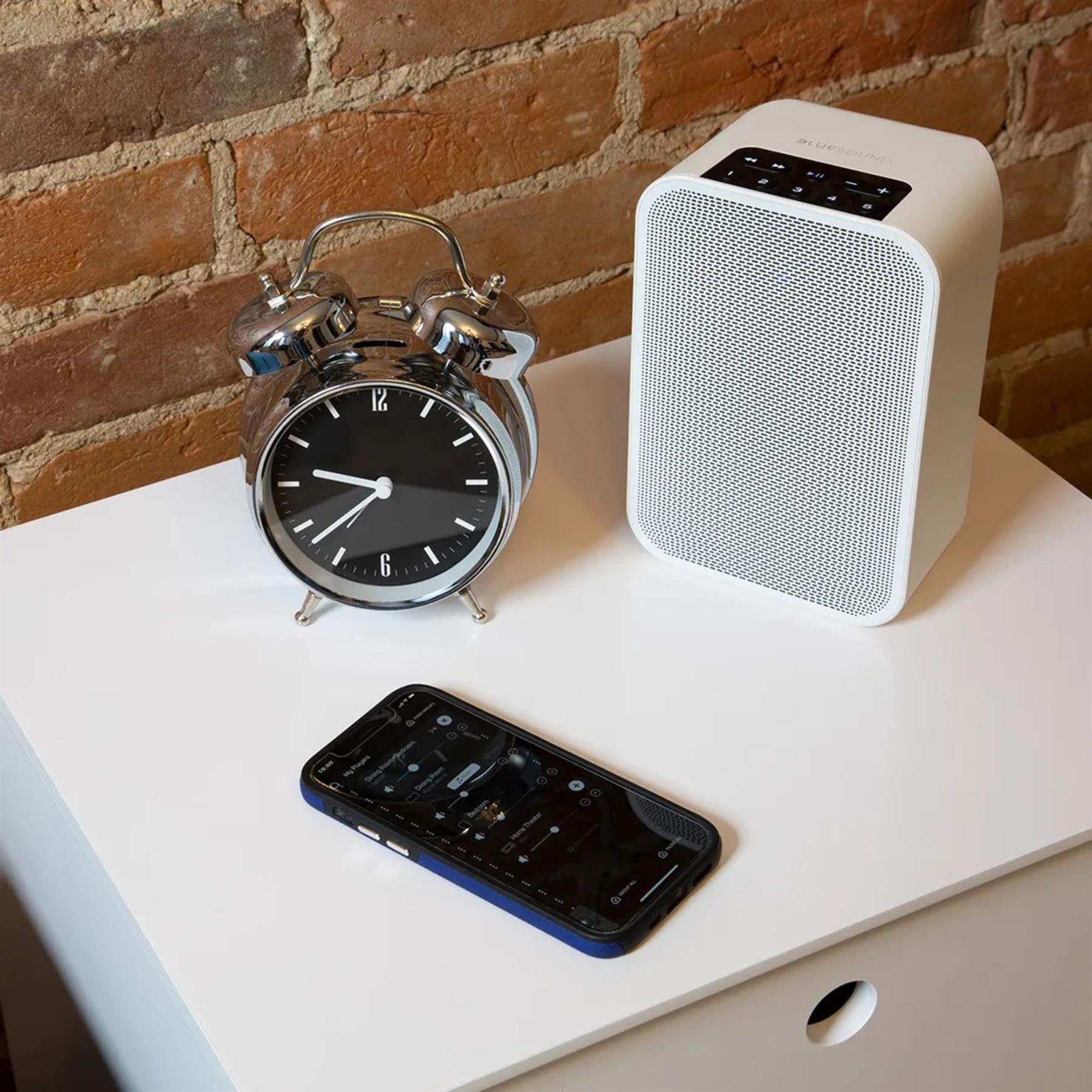 Bluesound PULSE FLEX 2i Portable Wireless Speaker | ListenUp