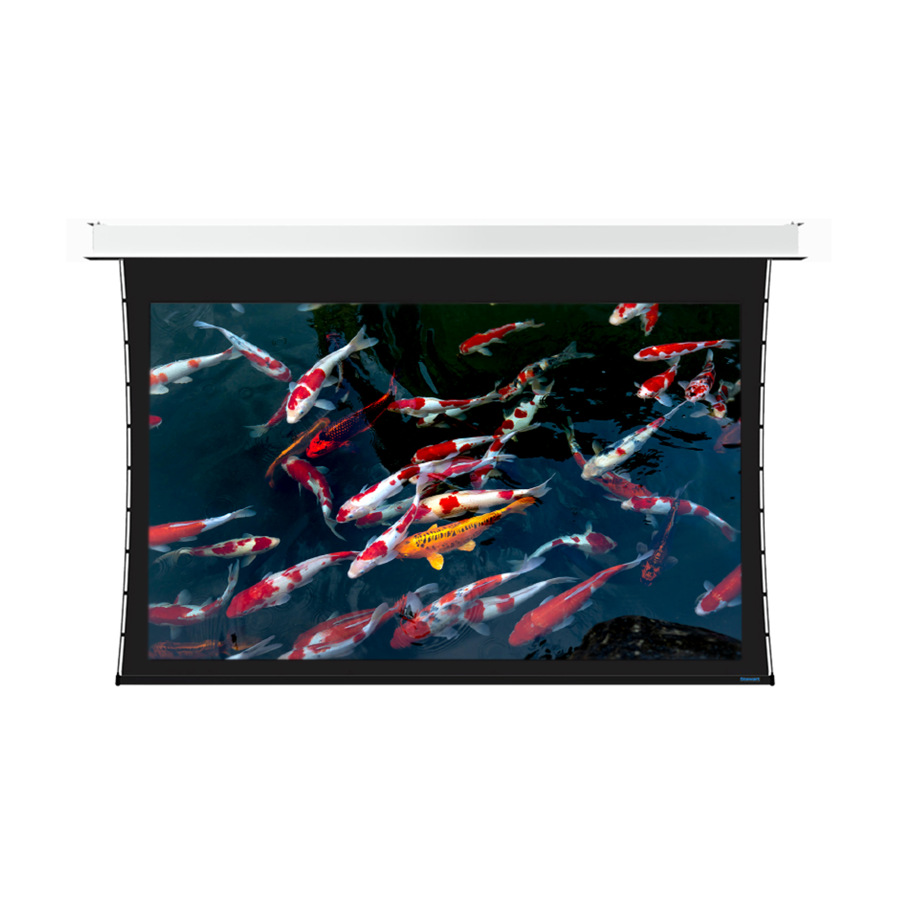 Stewart Filmscreen Cascade G2 Electric Retractable Screen - Thumbnail 2