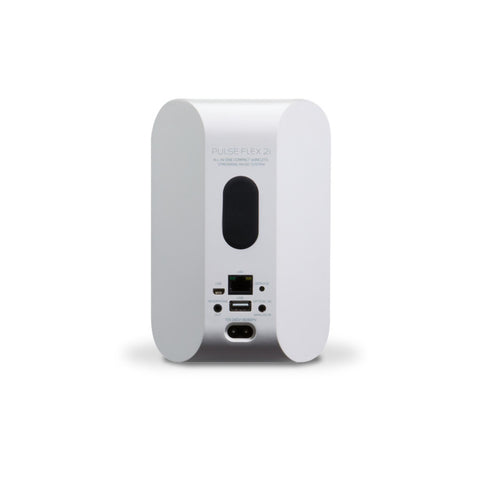 Bluesound Bluesound PULSE FLEX 2i Portable Wireless Speaker