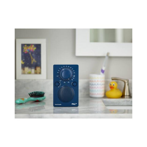 Tivoli Tivoli PAL BT - AM/FM Portable Radio - Clearance / Open Box