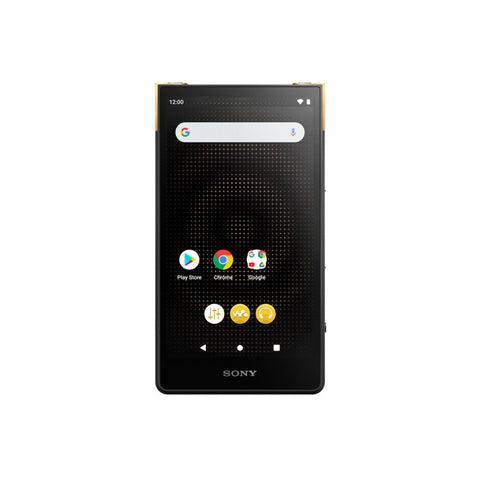 Sony Sony NW-ZX707 Walkman ZX Series