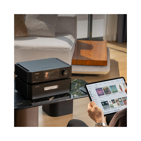 Eversolo DMP-A10 Flagship Music Streamer & DAC - Clearance / Open Box (view 6 of 7)
