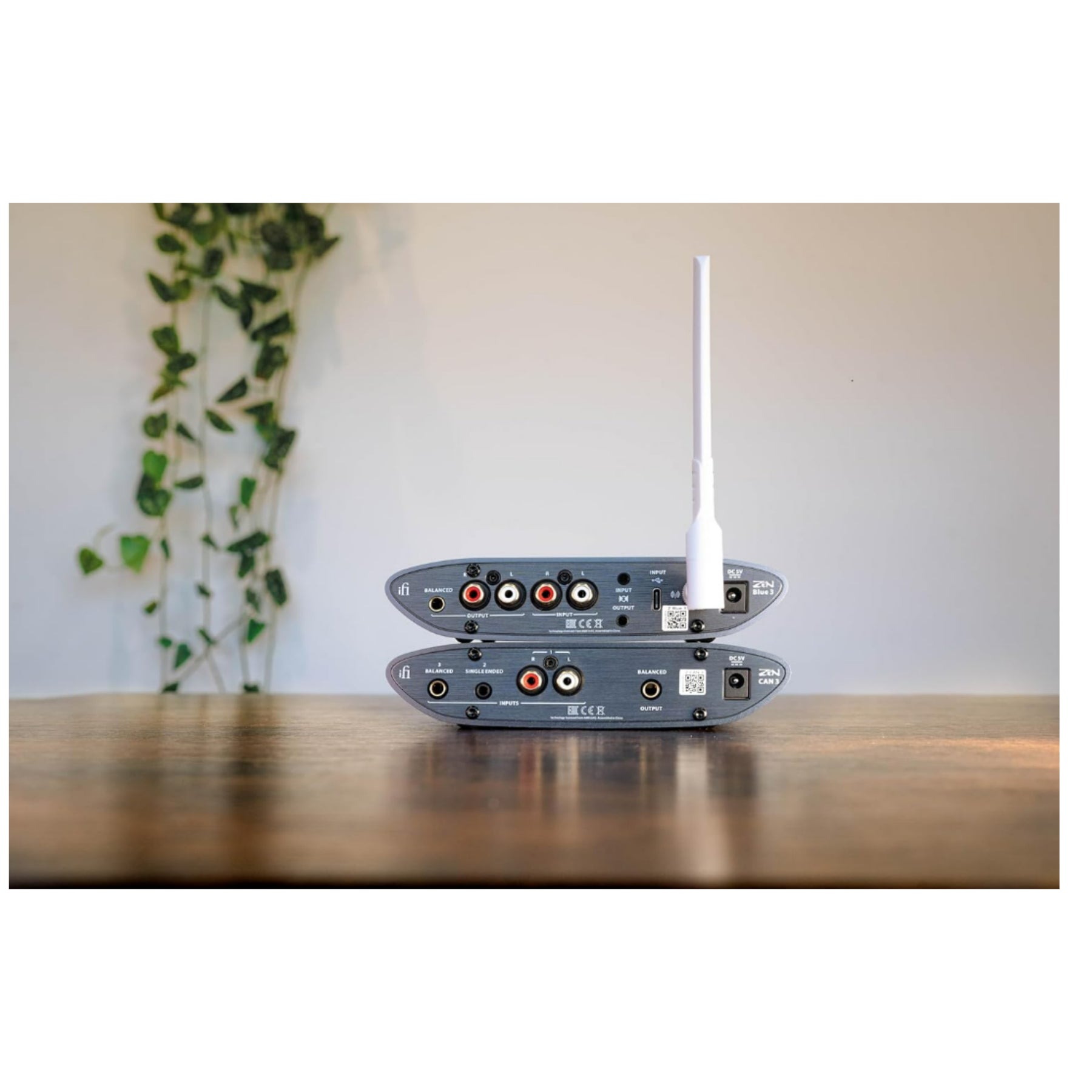 iFi Zen Blue 3 Streaming Kit | ListenUp