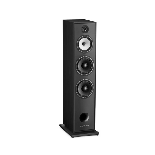 Triangle Borea BR10 Floorstanding Speaker – Best Tower Speakers for Audiophiles (Each)