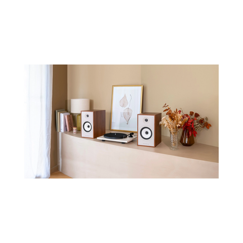 Triangle Borea BR03 Connect Wireless Powered Bookshelf Speaker With Arc - Clearance / Open Box (view 9 of 9)