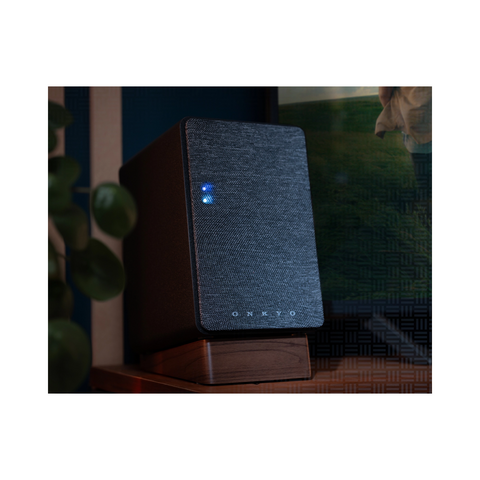 Onkyo GX-10DB Powered Desktop Speakers - Clearance / Open Box (view 7 of 15)
