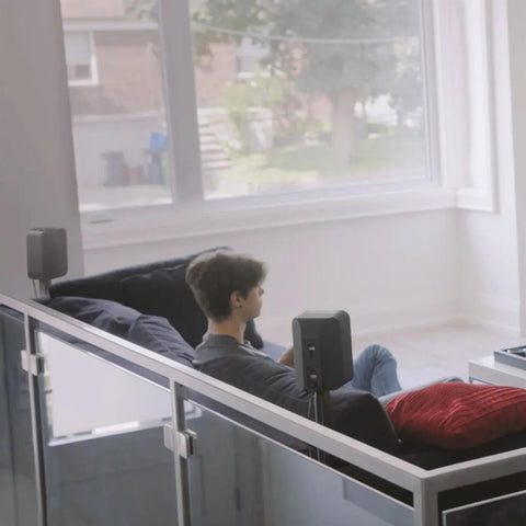 Bluesound Bluesound PULSE FLEX 2i Portable Wireless Speaker