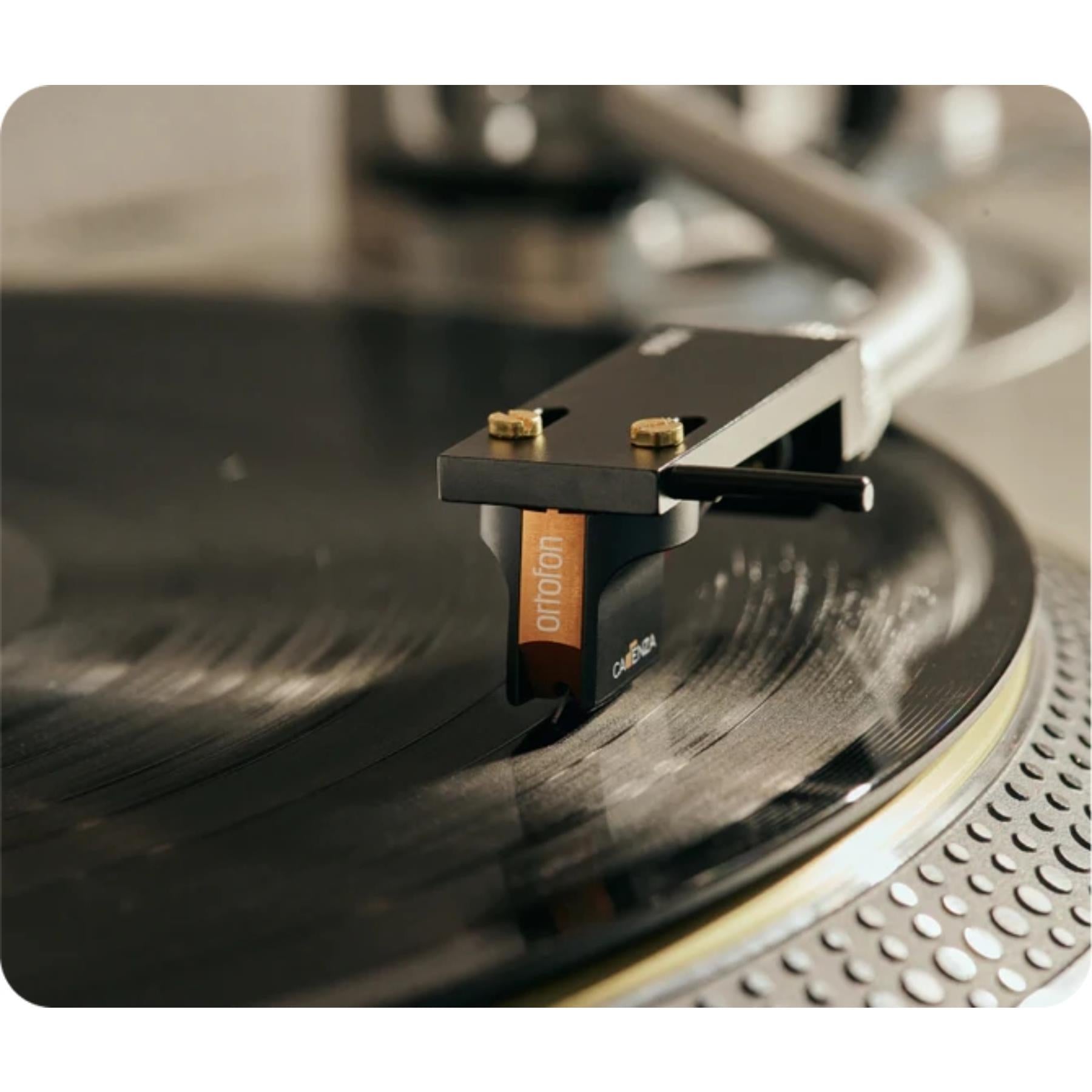Ortofon Cadenza - Thumbnail 5