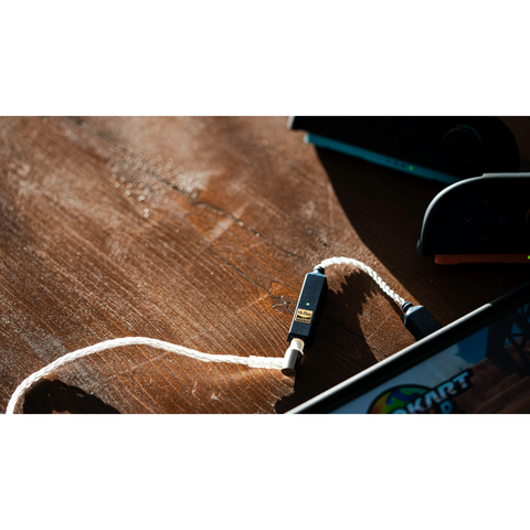 iFi Audio Hi-Res Starter Kit GoLink2 + Airo Astra IEM (view 6 of 6)