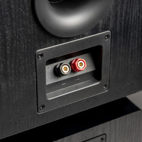 SVS Prime Pinnacle Floor Standing Speaker (view 6 of 8)
