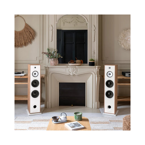 Triangle Triangle Borea BR10 Floorstanding Speaker (Each)