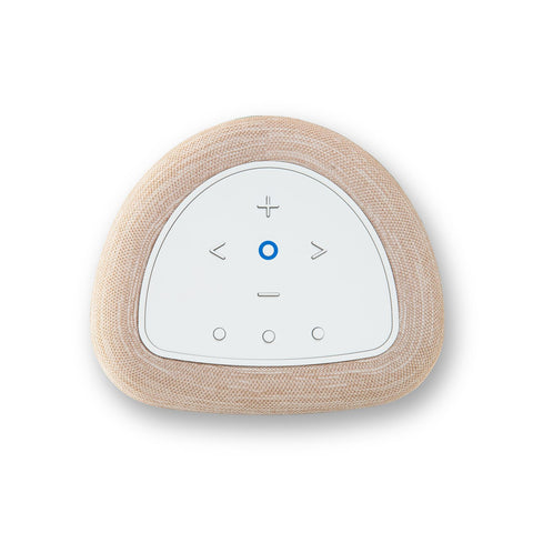 Bluesound Bluesound Pulse Flex 130 (2026)-Streaming Speaker