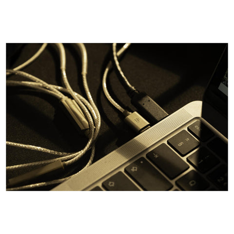 iFi Audio GO Cable Hi-Res USB-C DAC Headphone Amp for IEMs in computer (view 4 of 7)