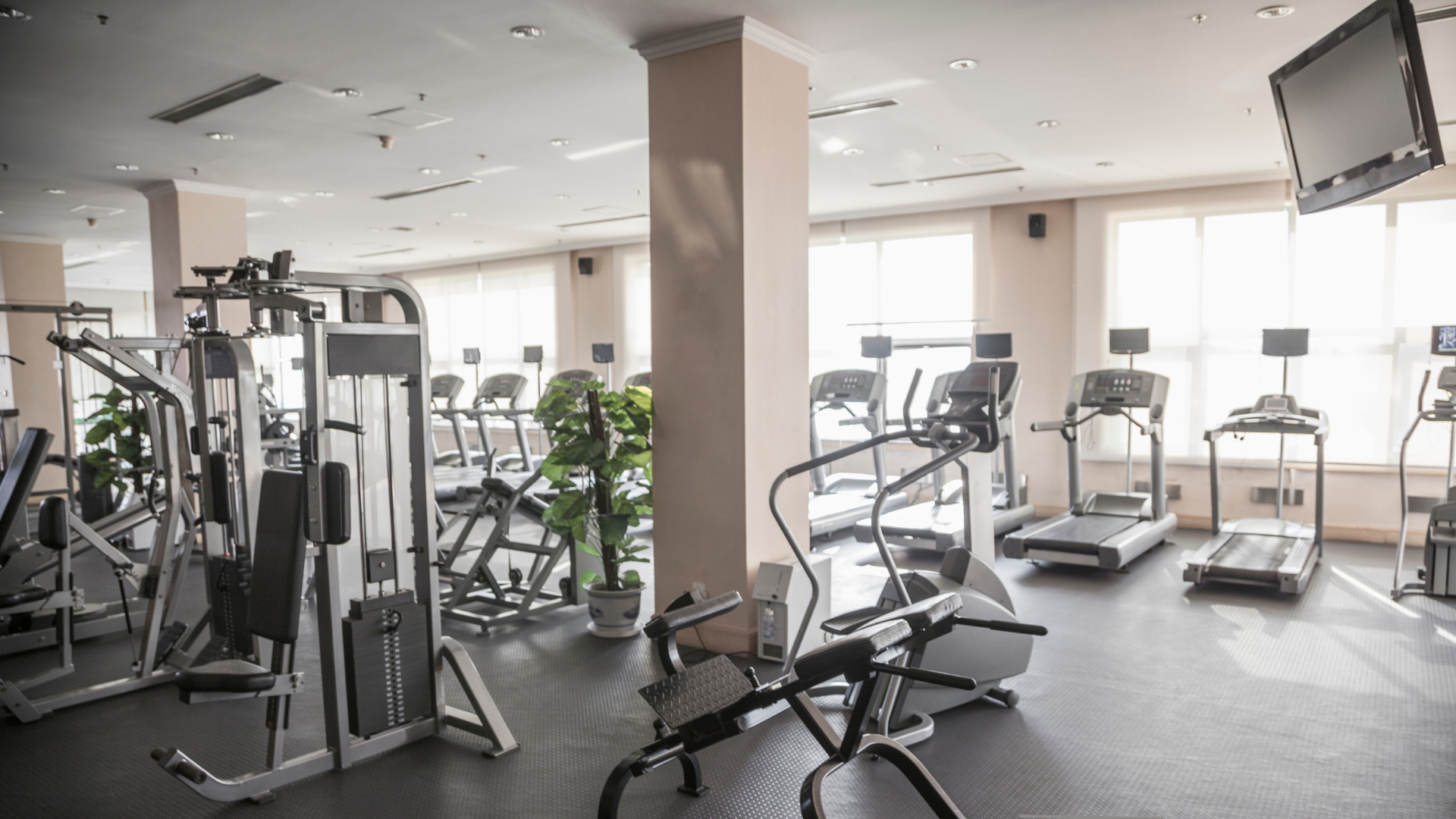 Audio/Video IT Networking