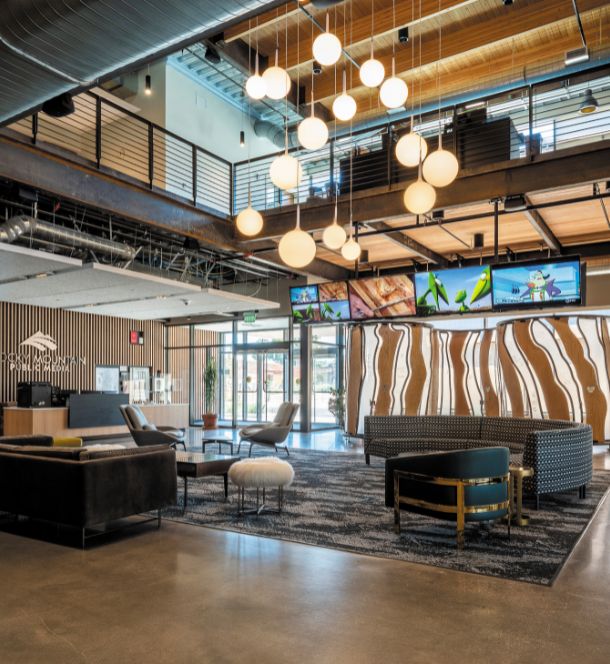 Automated Shades & Smart Lighting