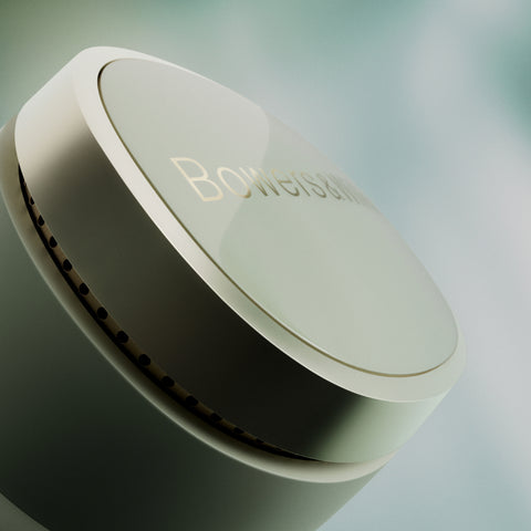 Bowers & Wilkins Bowers & Wilkins Pi8 Reference In-Ear True Wireless Earbuds