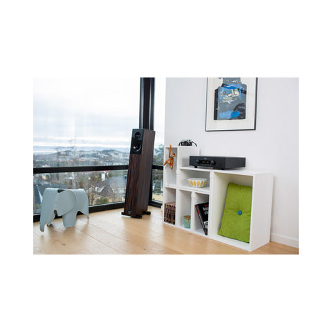 Hegel Hegel H190 Integrated Streaming Amplifier (Black) - Clearance / Open Box