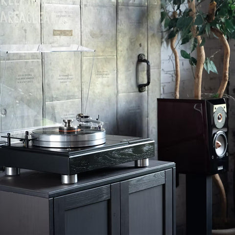 VPI Model One Turntable (view 5 of 6)