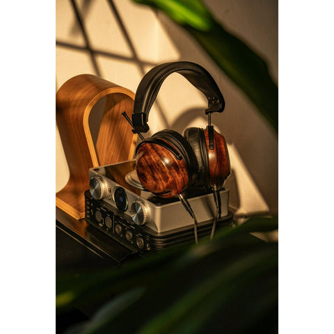 iFi Audio iCan Phantom 1.5 Hybrid Tube Amp & Electrostatic Headphone Amp with wood headphones (view 5 of 5)