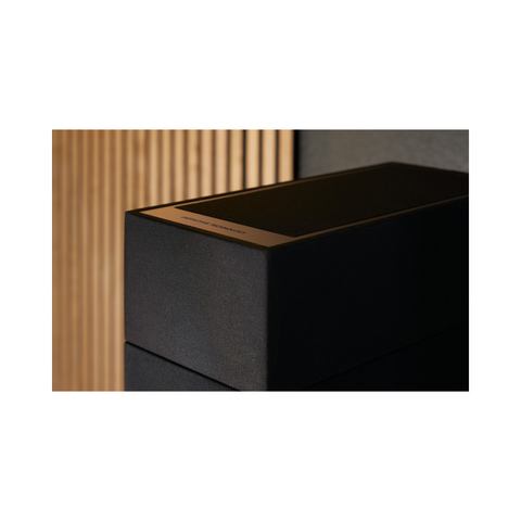 Definitive Technology Dymension DM90 Integrated Height Module - Clearance / Open Box (view 6 of 8)