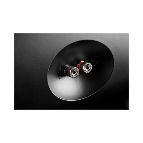 Definitive Technology Dymension AW-550 Outdoor Speaker Pair - Clearance / Open Box (view 5 of 10)