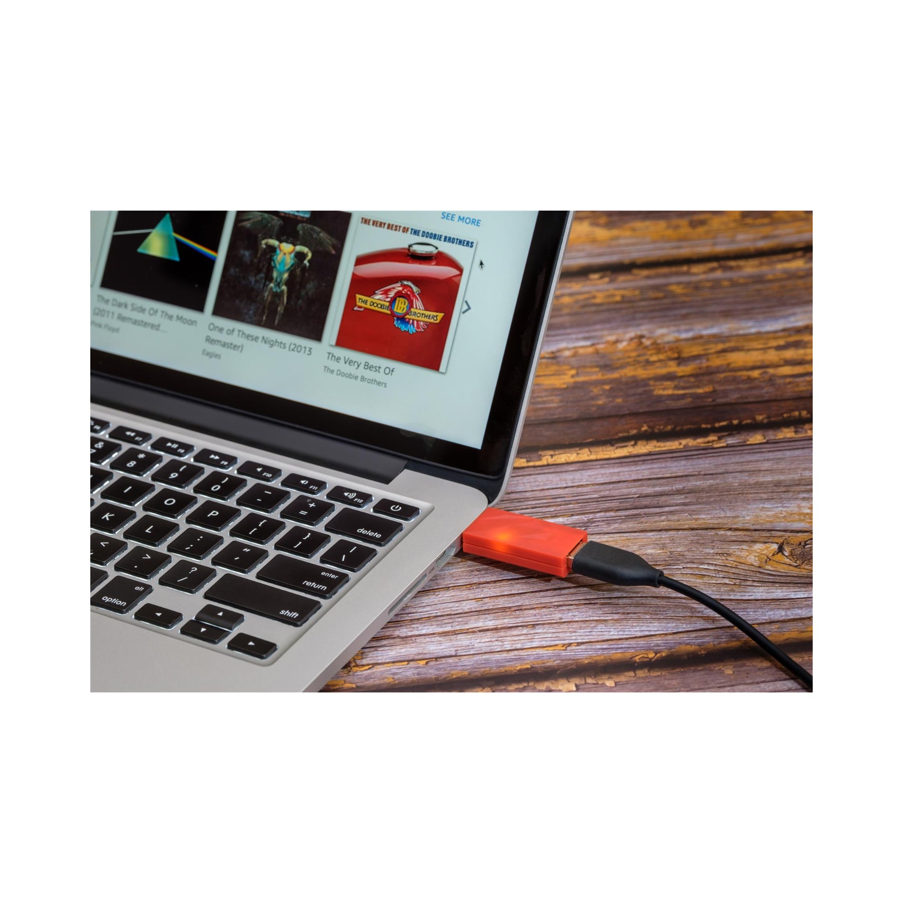 iFi iDefender USB Audio Ground Loop Eliminator | ListenUp